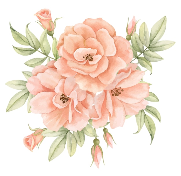 Strauß Rosenblüten auf isoliertem Hintergrund Handgezeichnetes Aquarell Blumenillustration für Grußkarten oder Hochzeitseinladungen in pastellorangen und blassrosa Farben Botanische Vintage-Zeichnung