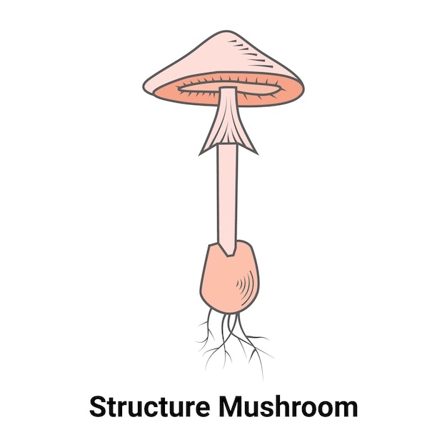 Vektor struktur-pilz-vektor-illustration