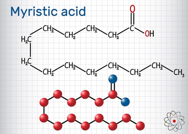 Strukturchemische Formel und Molekülmodell des Myristischen Tetradekanoinsäure-Moleküls