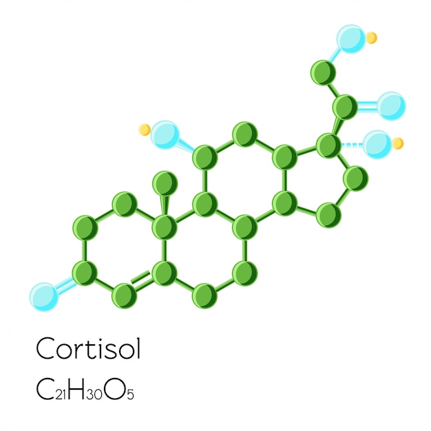 Strukturelle chemische formel des cortisolhormons