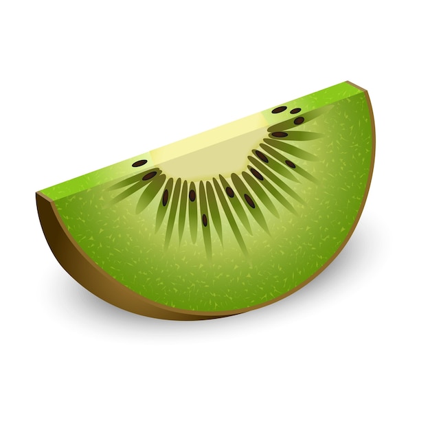 Stück Kiwi-Attrappe Realistische Darstellung eines Stücks Kiwi-Vektor-Attrappe für Webdesign isoliert auf weißem Hintergrund