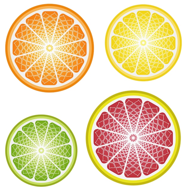 Stylisierte Scheiben aus Zitrusfrüchten, Orangen, Zitrone, Limette und Grapefruit Isoliert
