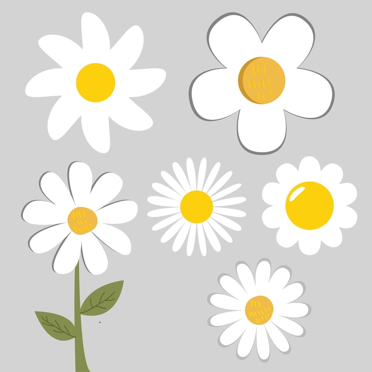 Vektor sublimations-clipart-set für gänseblümchen