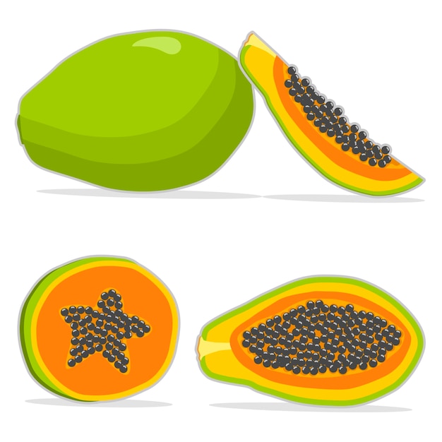 Vektor süß, saftig, lecker, natürliches öko-produkt papaya