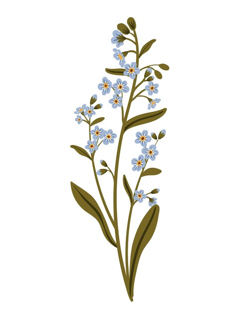 Süße blaue zweig-vergissmeinnicht-blume zartes sommerkraut vektor-illustration im flachen stil isoliert