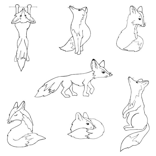 Süße Füchse Eine Reihe von Vektorbildern von Füchsen Tiersilhouetten in einem einfachen Grafikdesign