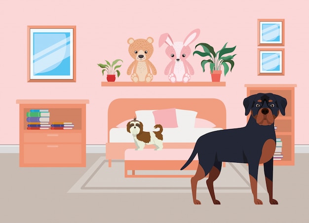 Süße kleine Hunde im Schlafzimmer