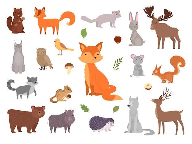 Süße wilde Tiere. Vektorwaldtiere Sammlung Fuchs Bär Eule Vektorbilder eingestellt. Illustrationswaldbär und -kaninchen, Sammlung wild lebender Eichhörnchen und Igel