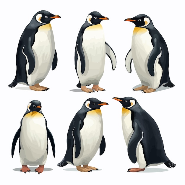 Vektor süßer pinguin-vektor