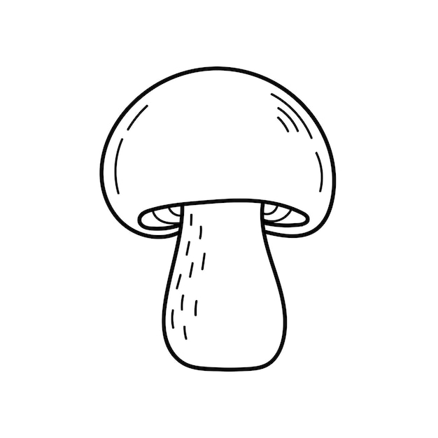 Süßer Speisepilz im Doodle-Stil. Zutaten zum Kochen, Salate. Ernte der Herbstpflanzen. Vektor isolierte handgezeichnete Illustration für Malvorlagen, Skizze, Umriss