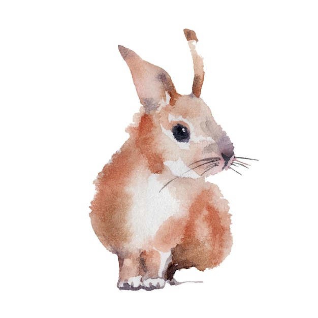 Süßes Aquarell-Ingwer-Kaninchen Aquarellillustration