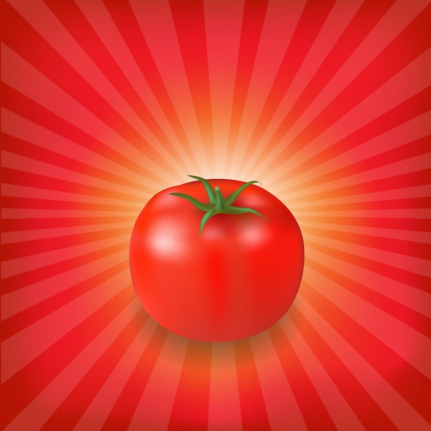 Sunburst-hintergrund mit roter tomate, illustration