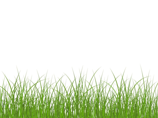 Super realistisches, detailliertes frisches grünes Gras.