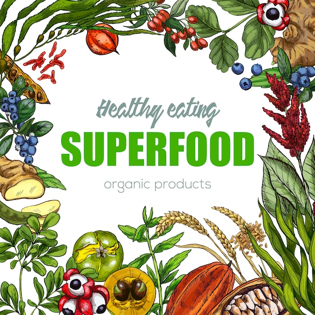 Superfood, realistisches skizzenrahmendesign