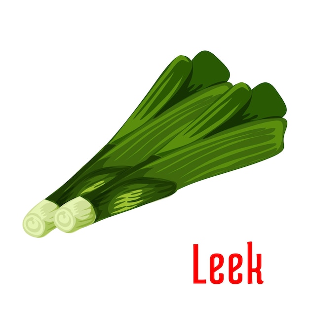 Symbol für die gemüsepflanze lauch PremiumVektor