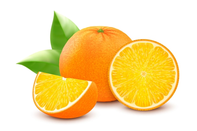 Symbol für frische Orangen Realistische 3D-Vektorillustration isoliert auf weißem Hintergrund Ganze und halbe Scheiben orangefarbener Zitrusfrüchte mit grünem Blatt können als Designelement für Saftverpackungen verwendet werden