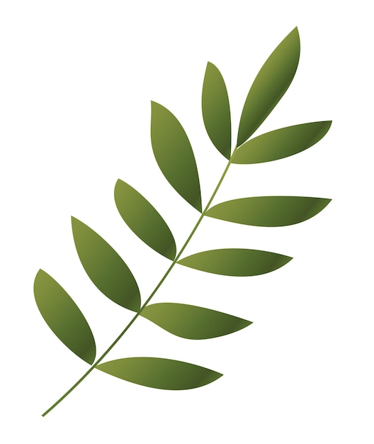 Vektor symbol für tropische pflanzen