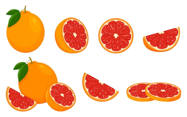 Symbol-Grapefruit-Set mit ganzen Fruchtscheiben und einer Hälfte mit Blättern Isolierte Vektordarstellung in einem flachen Stil