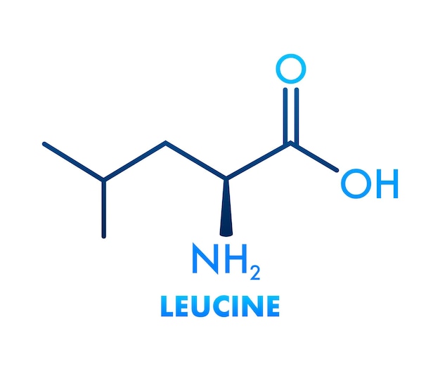 Symbol mit leucin-formel molekulare formel der essentiellen aminosäure