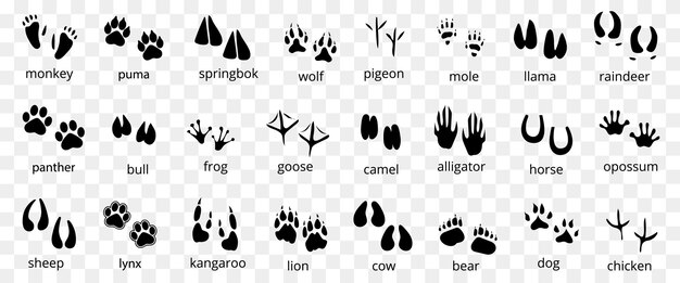 Symbole für tierabdrücke. satz von fußabdrücken für tierverfolgung. schwarze tier- und vogelspur-schritte prägen silhouette