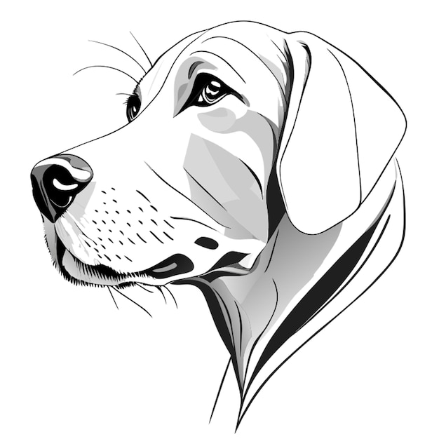 Vektor symmetrie skizze labrador retriever vorwärtsansicht schwarz-weiß farben vektor-illustration