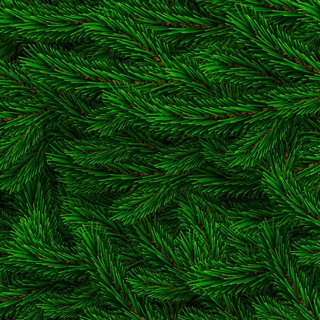 Tannenzweig-Hintergrunddesign