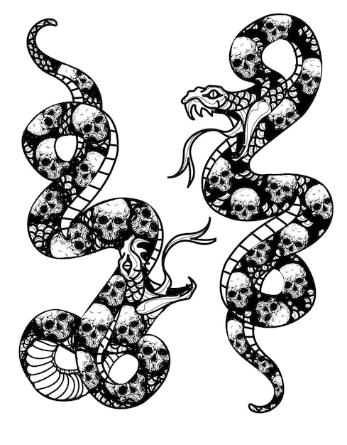 Vektor tattoo-kunst schlange und schädel musterzeichnung und skizze schwarz-weiß