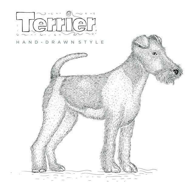 Vektor terrier hund. handgezeichnete tierillustration