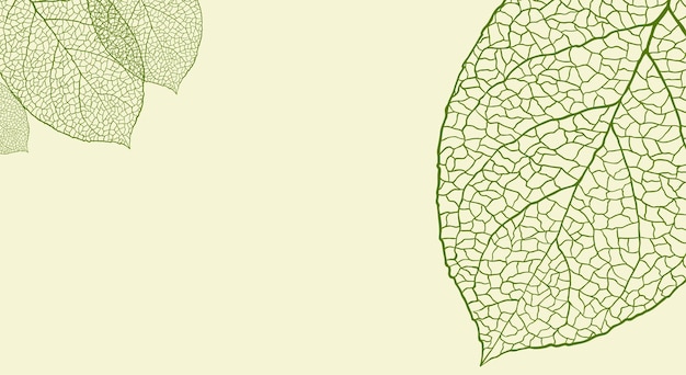 Texturierter Hintergrund mit Herbstblättern Natürliches Element Pflanzendruck Vektor Jahreszeit Bannervorlage