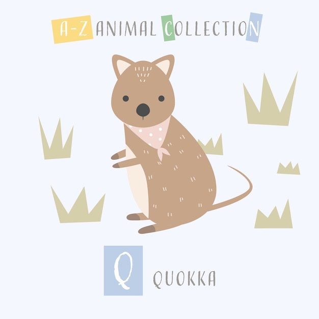 Tier-alphabet q des netten quokka cartoon-gekritzels q