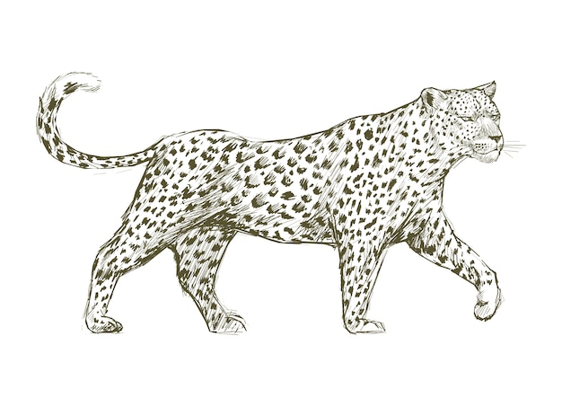 Tier-Illustrations-Kunst-Set