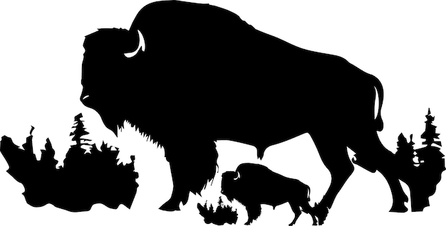 Tierbilder von schwarzen Bisons