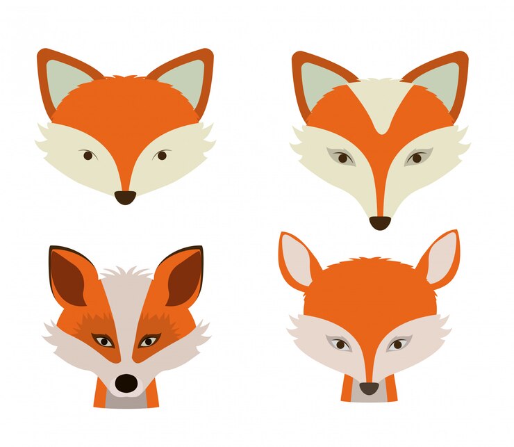 Tierdesign