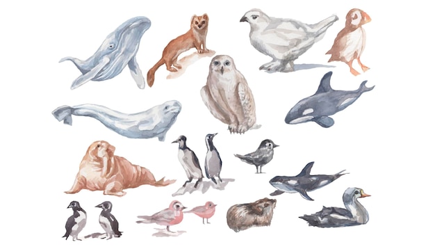 Tiere Antarktis Vögel Wale fischen Aquarellillustration han