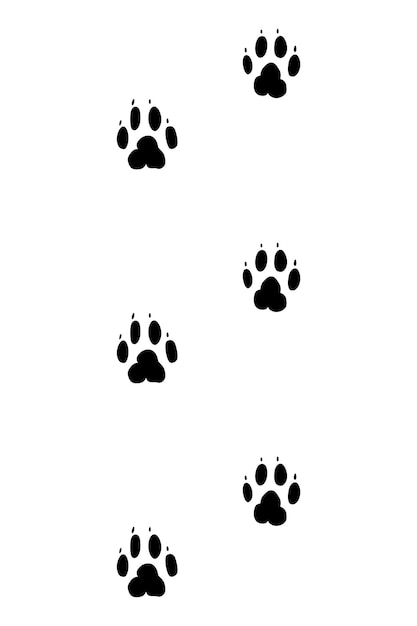 Vektor tiere füße verfolgen hund schwarze pfote zu fuß füße silhouette oder fußabdrücke verfolgen sie schritt abdrücke isoliert auf weiß laufspuren pfoten illustration