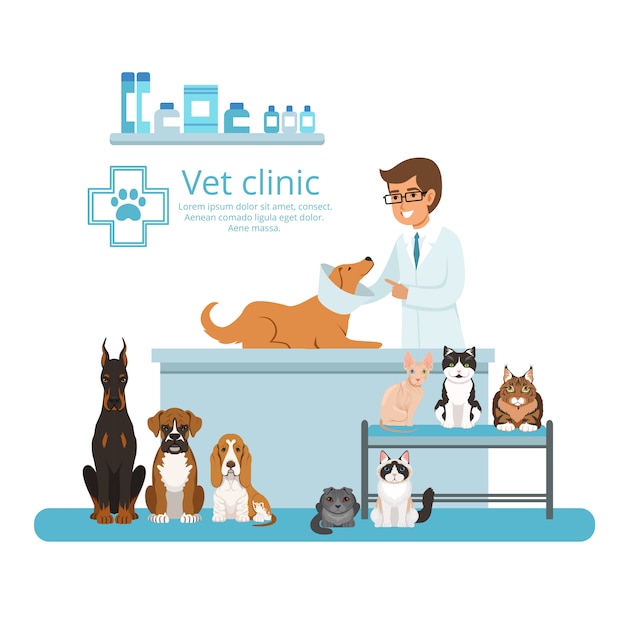 Tiere im Kabinett des Tierklinikums. Vektor-Illustration