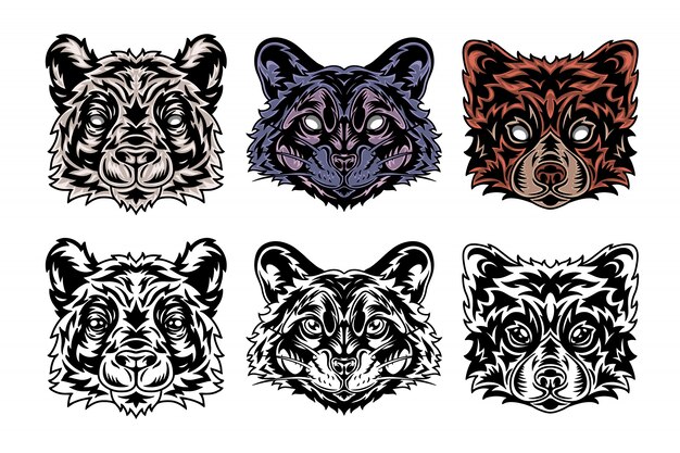 Tiergesicht Panda, Waschbär, roter Panda. Vintage Retro-Stil.