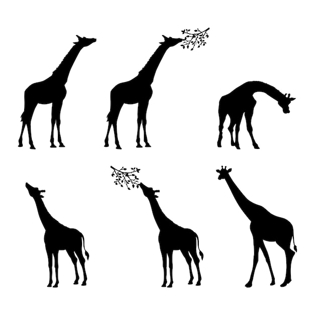 Vektor tierische giraffen-silhouette