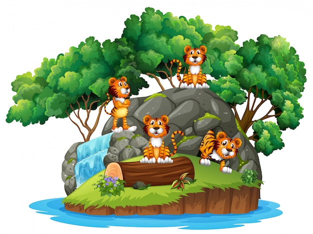 Tiger bei isolierter Natur