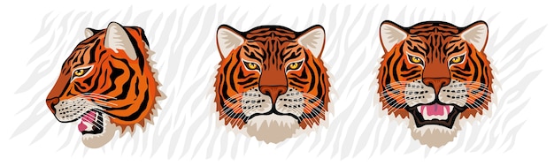 Tiger head set hand gezeichnete illustration