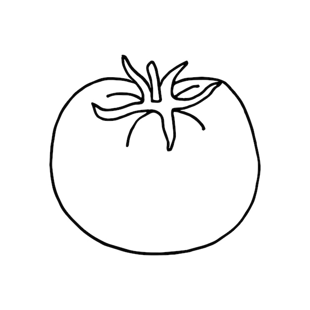 Tomate im doodle-stil