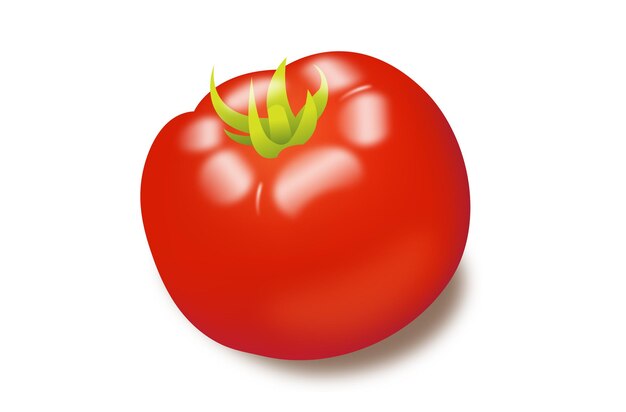 Vektor tomate