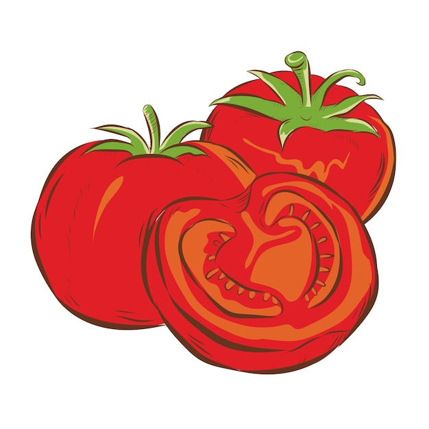 Tomaten-illustration