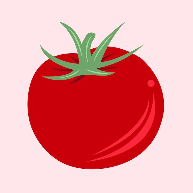 Tomaten-illustration