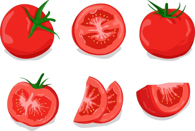 Tomaten-set-design