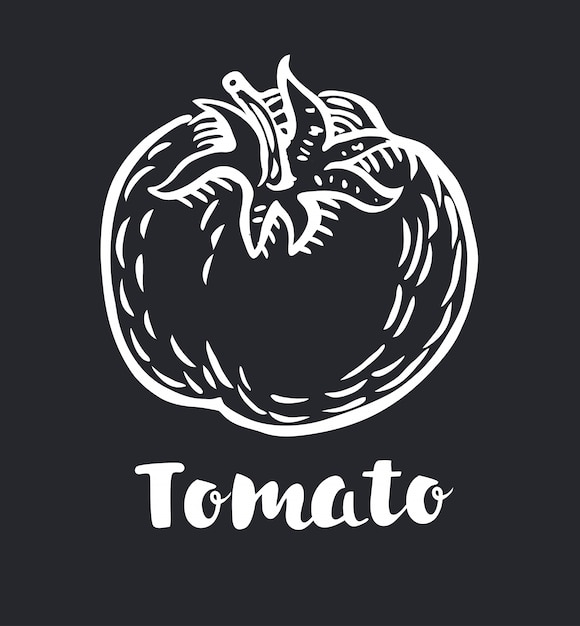 Tomatenumrisskreide gemalt auf Tafelillustration