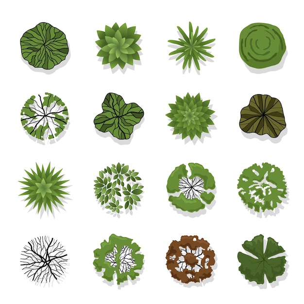 Vektor top-view von bäumen mit elementen für landschafts- und architektendesign