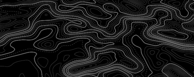 Topografischer Kartenhintergrund Geografische Linienkarte mit Höhenzuweisungen Geografisches Raster des Konturhintergrunds