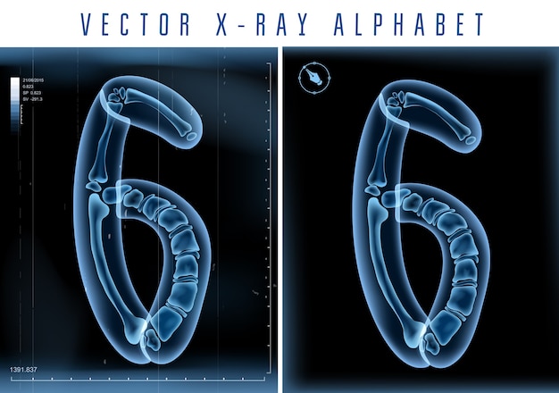 Transparentes 3d-röntgenalphabet zur verwendung in logo oder text. nummer sechs 6