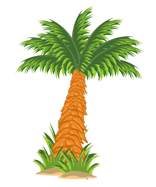 Tree palm